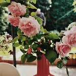 Casalago アパート ドマーゾ