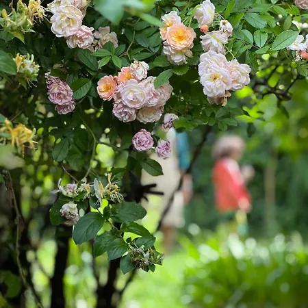 Appartement Casalago *