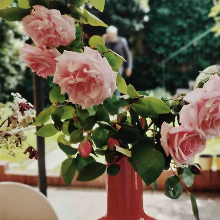 Casalago Appartement Domaso