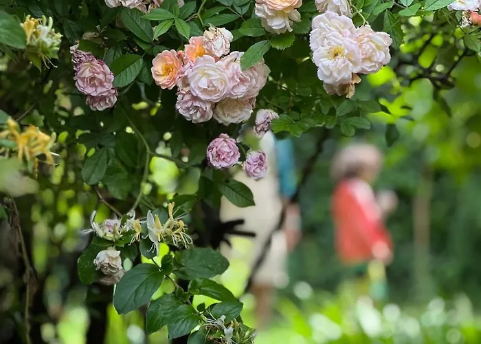 Appartement Casalago *