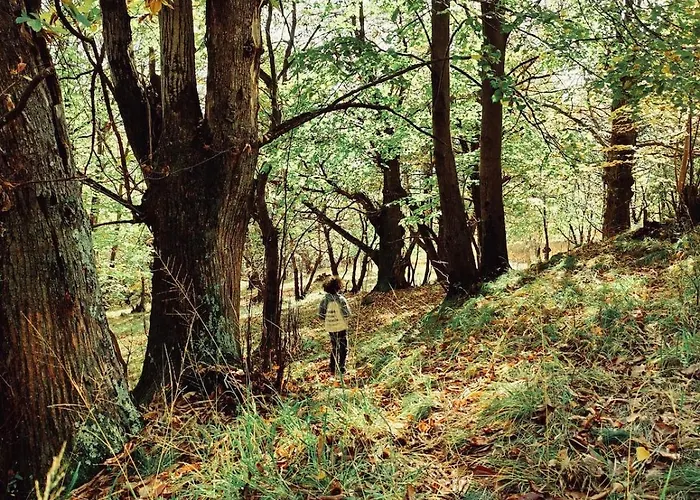 Appartement Casalago *