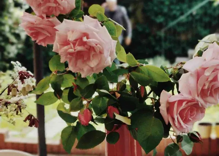 Casalago Appartement Domaso